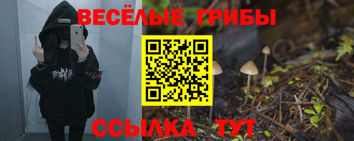 Псилоцибиновые грибы прущие грибы  сколько стоит  Псилоцибиновые грибы GOLDEN TEACHER  Добрянка  Вход с VPN 